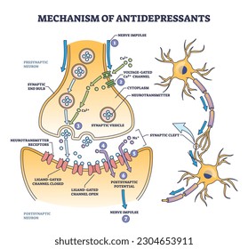 Mechanism of antidepressants for brain cells neurotransmitters boost outline diagram. Labeled educational anatomical scheme with nerve impulse and hormones to fight depression vector illustration.