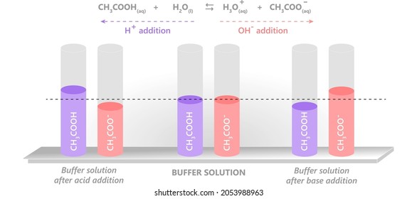 mechanism of buffer solutions: acetic acid buffer