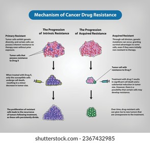 Mechanism of Cancer Drug Resistance - Vector and illustration