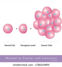 mechanism of formation cancer cells, mutation in p53 or Rb gene causes metastasis and malignant tumor formation. oncogenic events like mutation, UV light carcinogens also lead to tumorigenesis