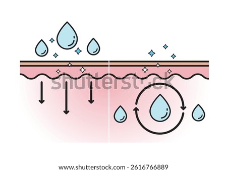 The mechanism of hydration through skin and moisture seal on skin layer vector on white background. Infographic of skin absorption vector. Skin care and beauty concept. Flat icon illustration.