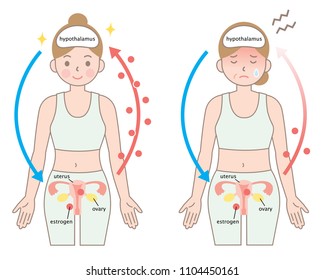 mechanism of menopause and young woman. women’s aging health care concept