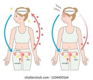 Mechanism Of Menopause And Young Woman. Women’s Aging Health Care Concept