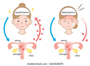 Mechanism Of Menopause And Young Woman. Women’s Health Care Concept
