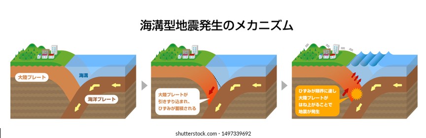 Mechanism Of Trench Earthquake Occurrence. 3 Dimensions View Vector Illustration (Japanese). Translation:Continental Crust,Oceanic Crust,The Continental Crust Is Dragged In
And The Strain Accumulat..