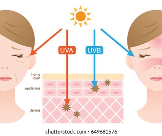 mechanism of UVA and UVB radiation