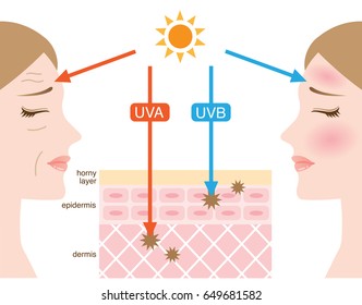 mechanism of UVA and UVB radiation