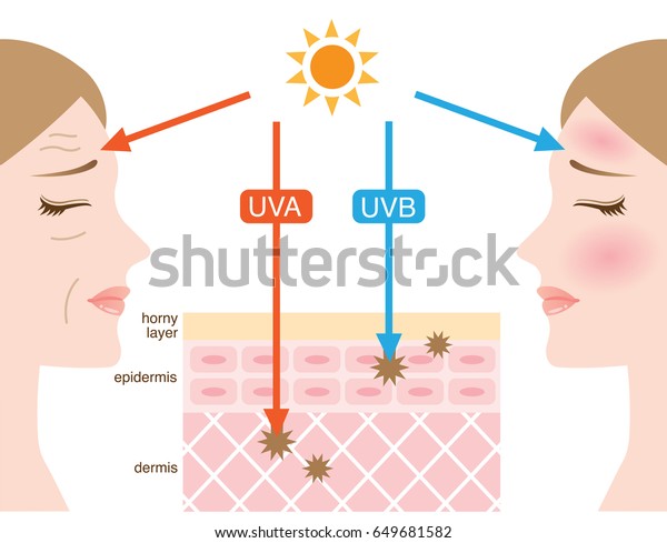 1,781 Uva Uvb Stock Vectors, Images & Vector Art | Shutterstock