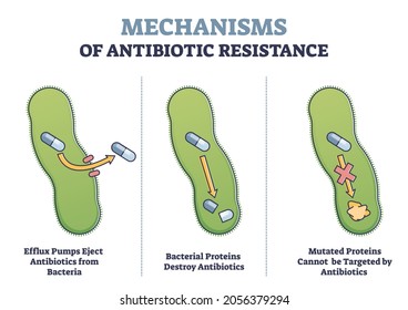 Mechanisms of antibiotic resistance outline diagram with illustrated examples. Efflux pumps ejecting antibiotics, bacterial proteins destroying antibiotics and mutated proteins defense system.