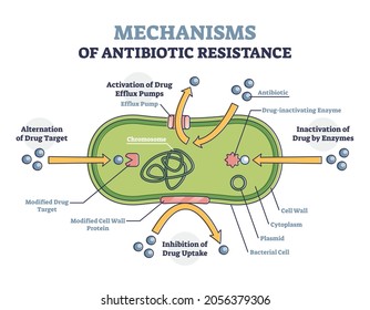 Mechanisms of antibiotic resistance outline diagram, illustrated example. Alternation of drug target, activation of drug efflux pumps, inhibition of drug uptake and inactivation of drug by enzymes.