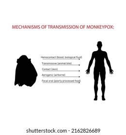 Mecanismos y formas de transmisión de la viruela monkeypox. Virus de la viruela zoonótica que pueden infectar primates humanos no humanos. Viruela de mono. Ilustración del vector