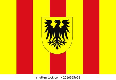 Mechelen municipality (Antwerp province, Flemish Region, Flanders, Flemish Community, Belgium ) flag vector icon