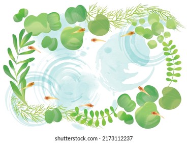 Medaka aquatic plants Japanese style illustration