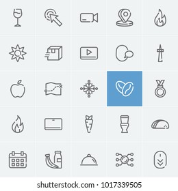 Medal icon with camera, play video and snowflake editable symbols. Set of pointer, fire, blaze icons and organic food concept. Editable vector elements for logo app UI design.
