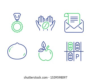 Medal, Macadamia nut and Coffee line icons set. Eco food, Mail newsletter and Parking place signs. Winner, Vegetarian food, Roasted bean. Organic tested. Business set. Line medal outline icons. Vector