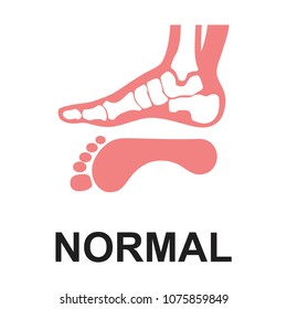 Medial foot anatomy Human foot with bones