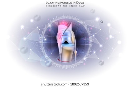 The medial luxating patella in dogs illustration colorful design on an abstract scientific background