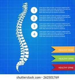 Medic spine human on the blueprint background