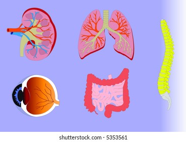 medical