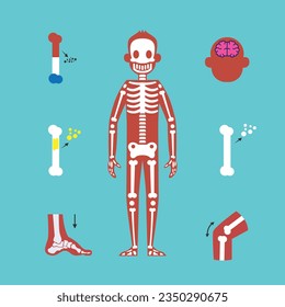 Concepto médico, anatomía y biología de segunda ilustración vectorial para banner, sitio web, página de aterrizaje, volante, etc