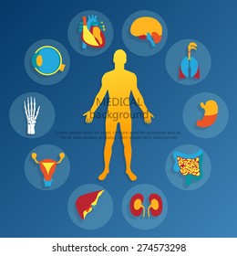 Medical background. Flat design icons for medical theme. Human anatomy, huge collection of human organs