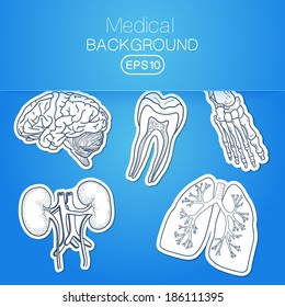 Medical background. Sketch sticker vector elements for medical or health care design