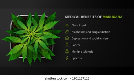 Medical Benefits Marijuana Black Poster Bush Stock Vector (Royalty Free) 1901127118 | Shutterstock