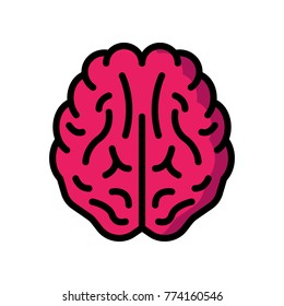 Medical - Brain 
