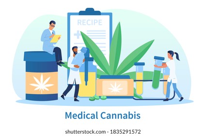 Concepto médico abstracto de cannabis. Gente pequeña haciendo drogas de cannabis. El doctor está escribiendo una receta médica. Ilustración vectorial de dibujos animados planos.