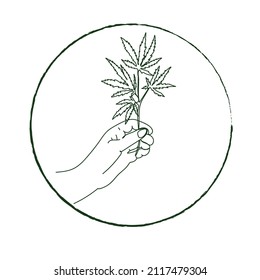 Medical cannabis, hemp. Woman's hand holding a cannabis branch,hand drawing outline vector illustration. Legalization of cannabis. Cannabis logo isolated on white background