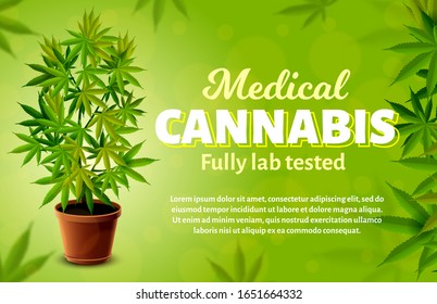 Medical Cannabis Vector Banner. Realistic Marijuana Plant. Illustration Of Cannabis For Medical Use