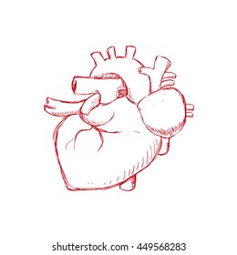Medical care concept represented by heart icon. Isolated and flat illustration 