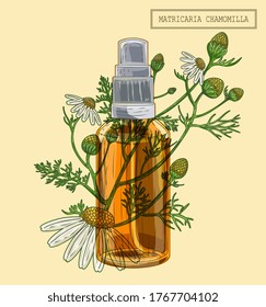 Medical chamomille branch and sprayer, hand drawn illustration in a retro style