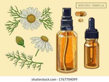 Medical chamomille flowers and dropper and sprayer, hand drawn illustration in a retro style