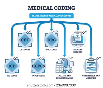 Medical coding and translation of medicine health procedures outline diagram. Labeled educational scheme with diagnosis, equipment and services information alphanumeric codes vector illustration.