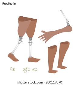 Medical Concept, Illustration Collection of Prosthetic Leg, Knee and Arm, Artificial Device That Replaces A missing Body Part.
