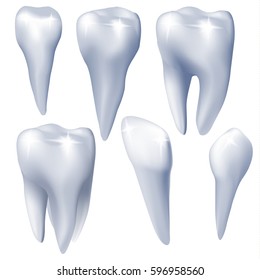 Medical design elements. Set of teeth on white background. Vector illustration