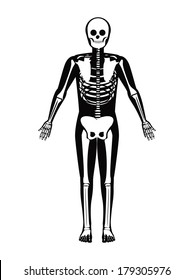 medical design over white  background vector illustration  