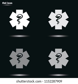 Medical flat grayscale vector icon. Ambulance symbol.