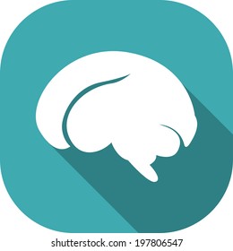 Medical Flat Icon