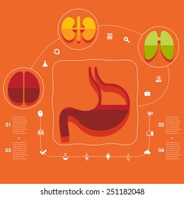 Medical flat infographic