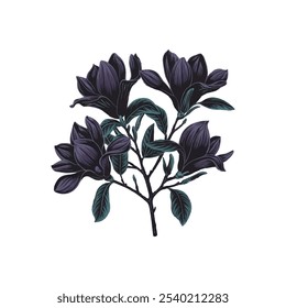 medical flower vector art and illustration
