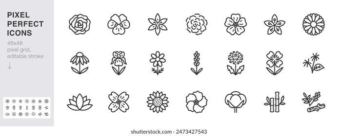 Conjunto de iconos de línea de flores médicas. Rosa, violeta, jazmín, caléndula, equinácea, iris, manzanilla Ilustraciones vectoriales mínimas. Señales de contorno simple para plantas cosméticas. Trazo editable perfecto de 48x48 píxeles