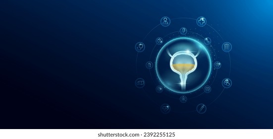 Medical health care. Human bladder in transparent bubbles surround with medical icon. Technology innovation healthcare hologram organ on dark blue background. Banner empty space for text. Vector.