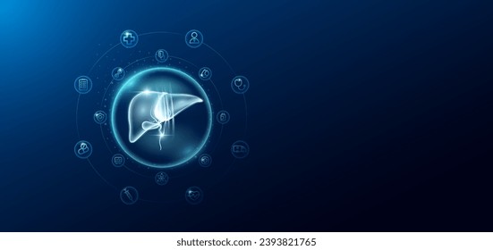 Atención médica. Hígado humano en burbujas transparentes rodea con ícono médico. Innovación tecnológica órgano holograma de salud sobre fondo azul oscuro. Espacio vacío en la pancarta para el texto. Vector.