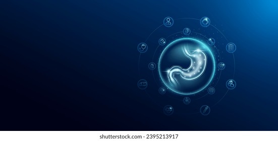 Medical health care. Human stomach in transparent bubbles surround with medical icon. Technology innovation healthcare hologram organ on dark blue background. Banner empty space for text. Vector.