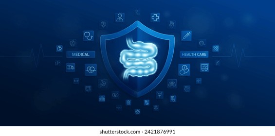 Medical health care. Small intestine inside shield and medical equipment tools. Doctor icon, stethoscope syringe drug and symbol cross. Protect treat human organ healthy. Ads banner vector.