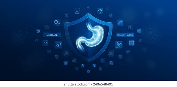 Medical health care. Stomach inside shield and medical equipment tools. Doctor icon, stethoscope syringe drug and symbol cross. Protect treat human organ healthy. Ads banner vector.