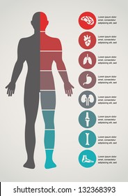 Medical, Health And Healthcare Icons And Data Elements, Infographic
Heart, Brain , Kidney And Other Human Organs Symbols