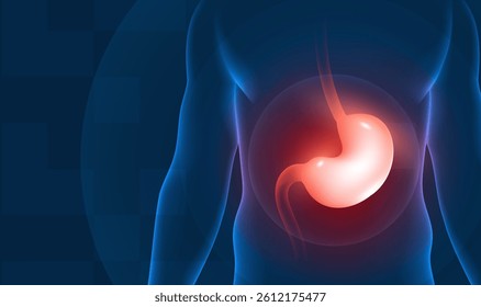 Medical health horizontal illustration human stomach highlighting reminder